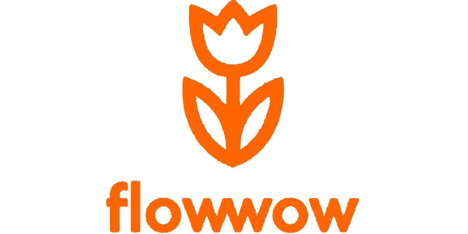  https://coupon.ae/img/logo/flowwow.jpg