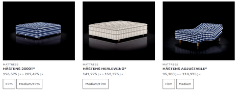 The Mattress Store Mattresses