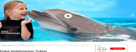 Get Dubai Dolphinarium Tickets From Ticketstodo